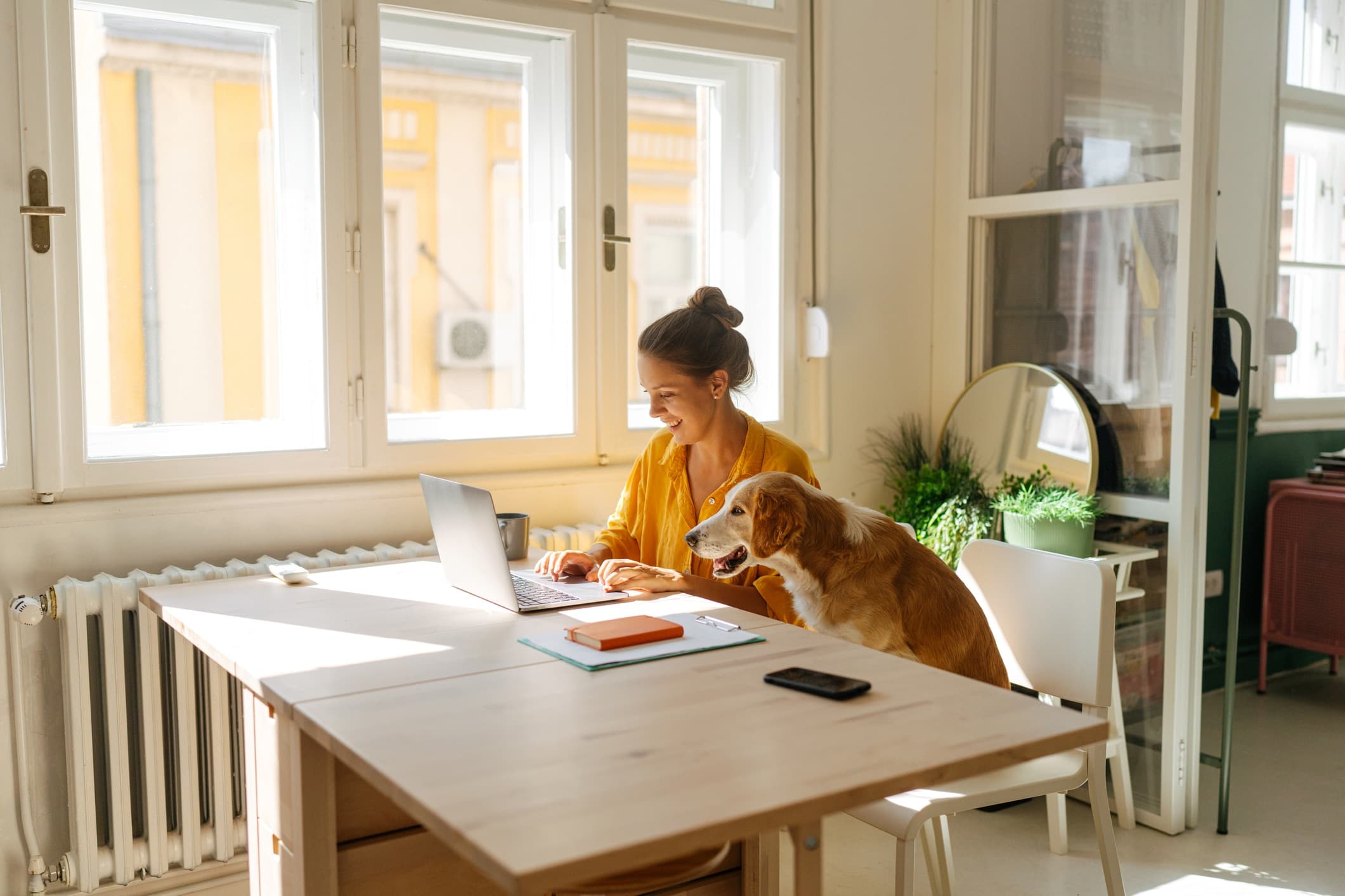 Kvinne i gul skjorte jobber på hjemmekontor ved et lyst vindu med en bærbar PC, mens hunden hennes sitter ved siden av. Men hun må ha eget rom til kontor for å kunne kreve fradrag for hjemmekontor i skattemeldingen.